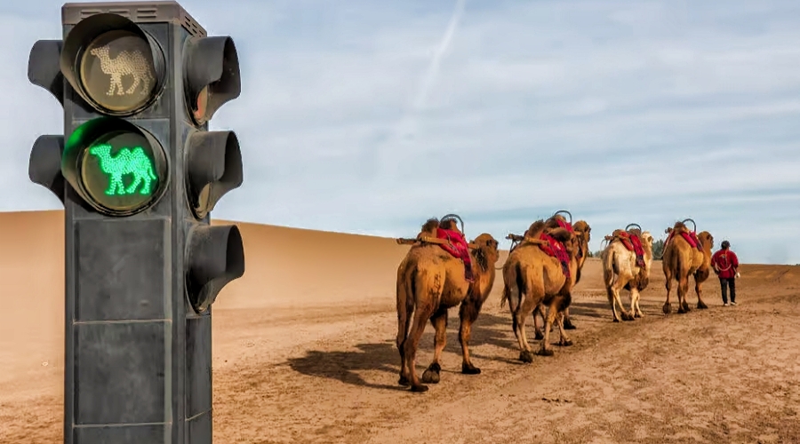 Dunhuang – Free Day & Optional Activities