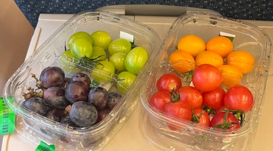 Fresh fruit is available for purchase onboard China's high-speed trains.