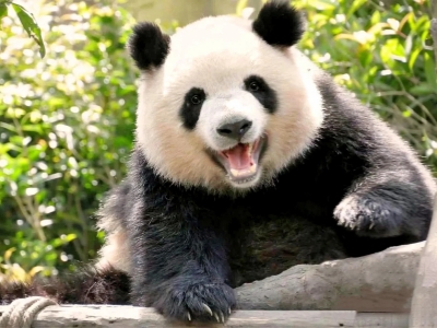 Chengdu