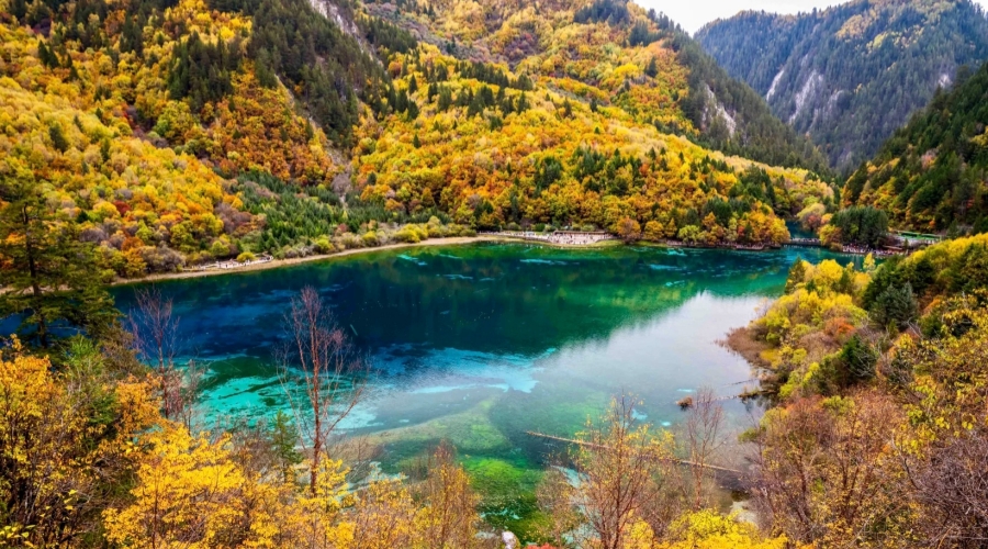5-Day Chengdu Local Life & Jiuzhaigou Nature Tour