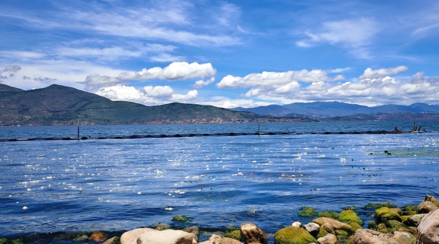 Kunming → Dali – Travel & Erhai Lake Relaxation