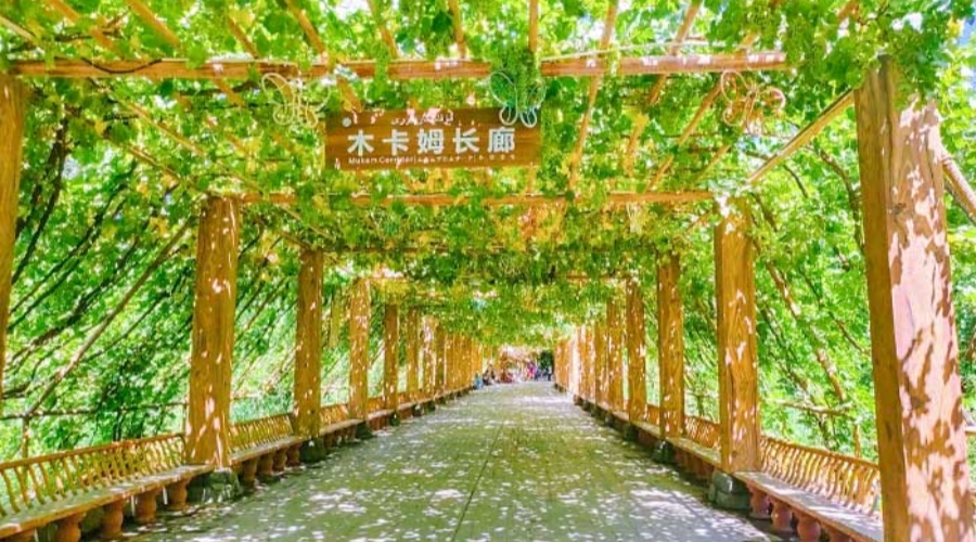 Urumqi – Turpan Silk Road Heritage Tour – Urumqi