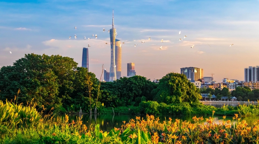 3-Day Guangzhou City Highlights Tour