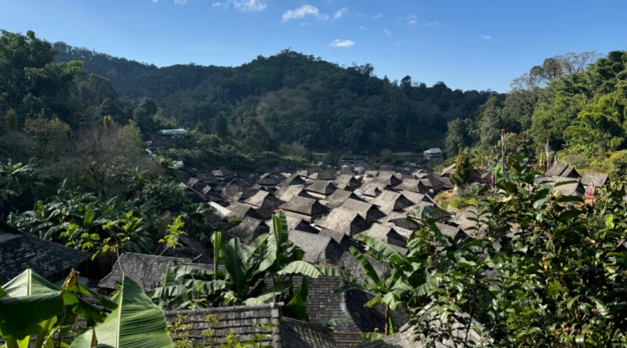 Pu'er → Jingmai Mountain – Ancient Tea Forests & Tea Horse Road Villages