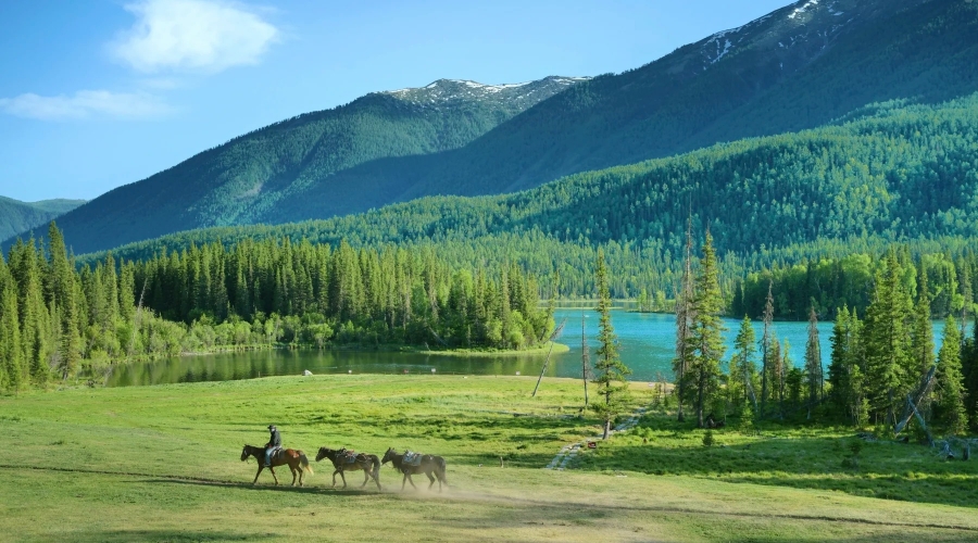 8-Day Northern Xinjiang Nature & Culture Journey