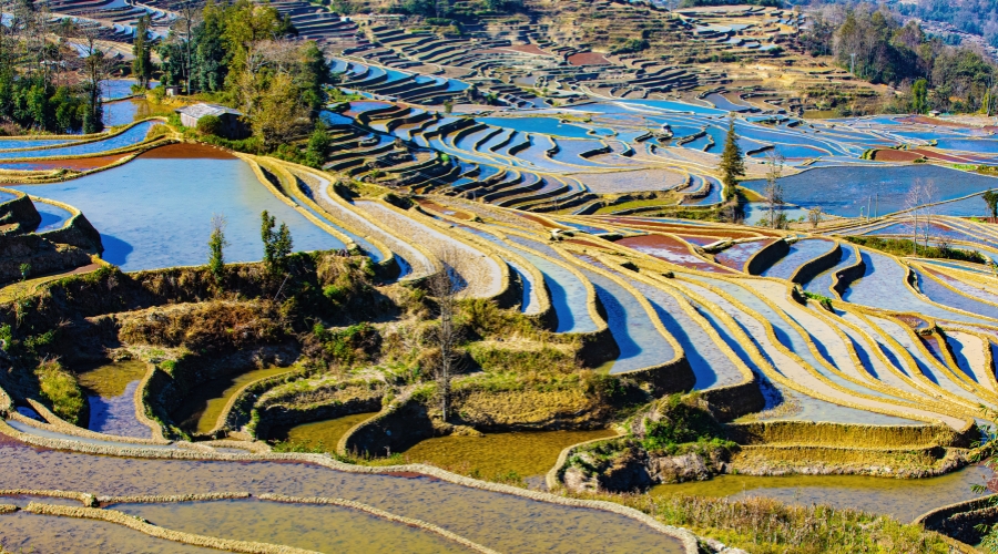 8-Day Southeast Yunnan Cultural Tour