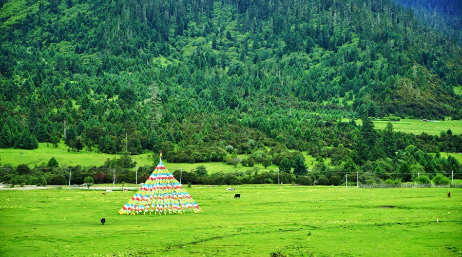 Nyingchi Nature Experience – Forests, Lakes & Villages