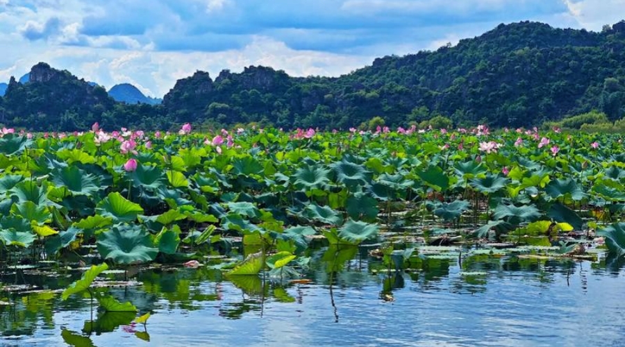 Mile – Puzhehei Scenic Area