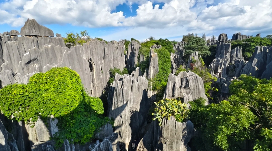 Kunming – Stone Forest & Local City Discovery