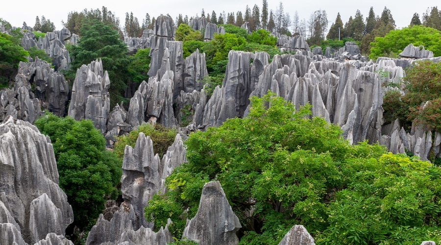 Kunming – Stone Forest – Jianshui Ancient Town
