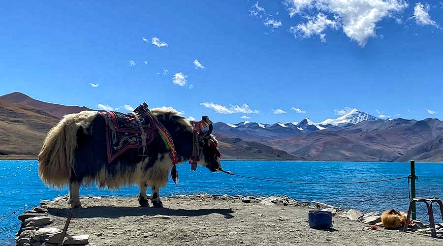 Yamdrok Lake